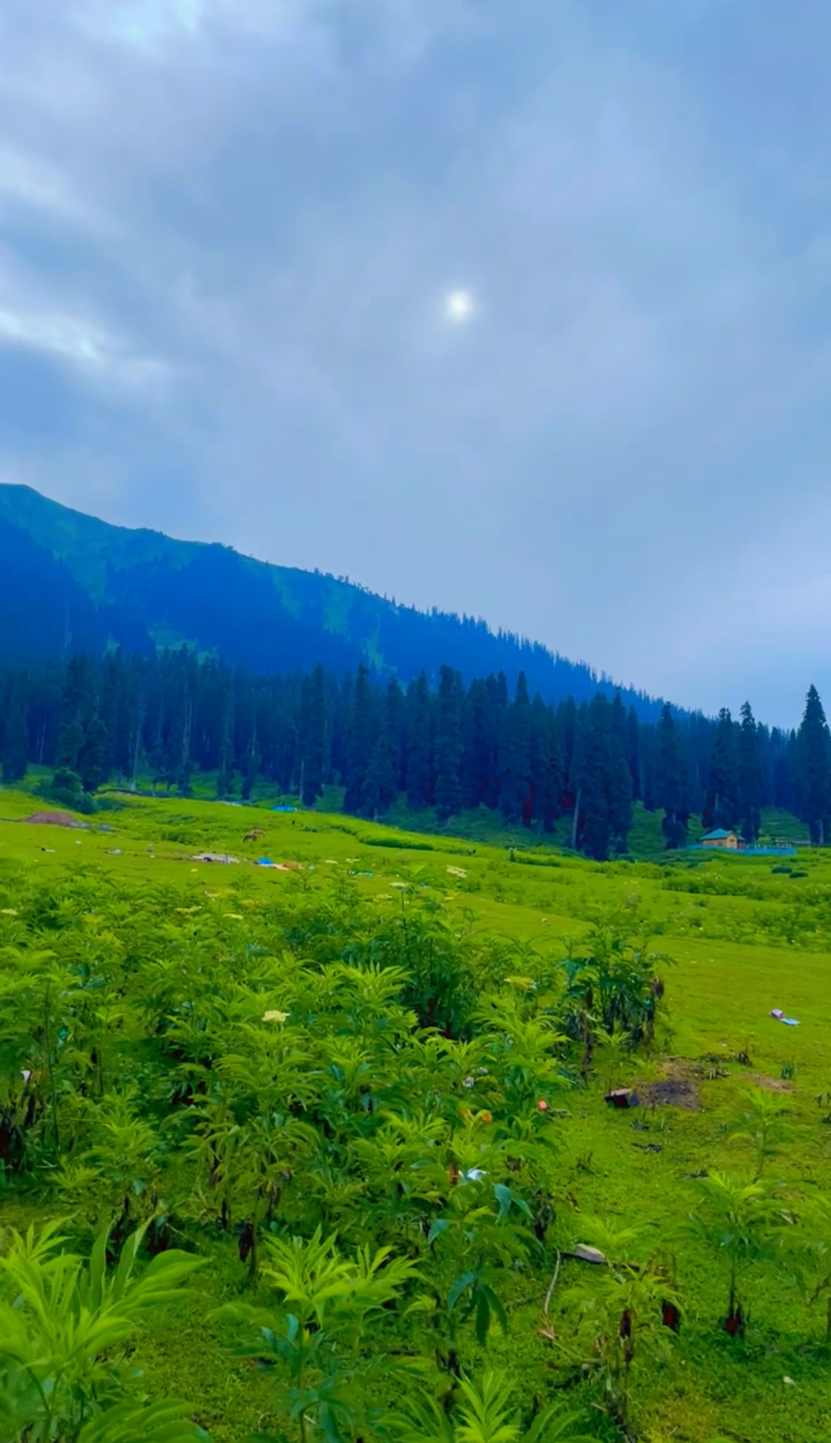 Amazing Kashmir (Premium) 3Days 2 Nights