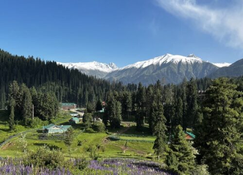 Beautiful Kashmir(Luxury) 3Days 2Nights