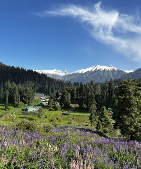 Beautiful Kashmir(Budget) 3Days 2Nights