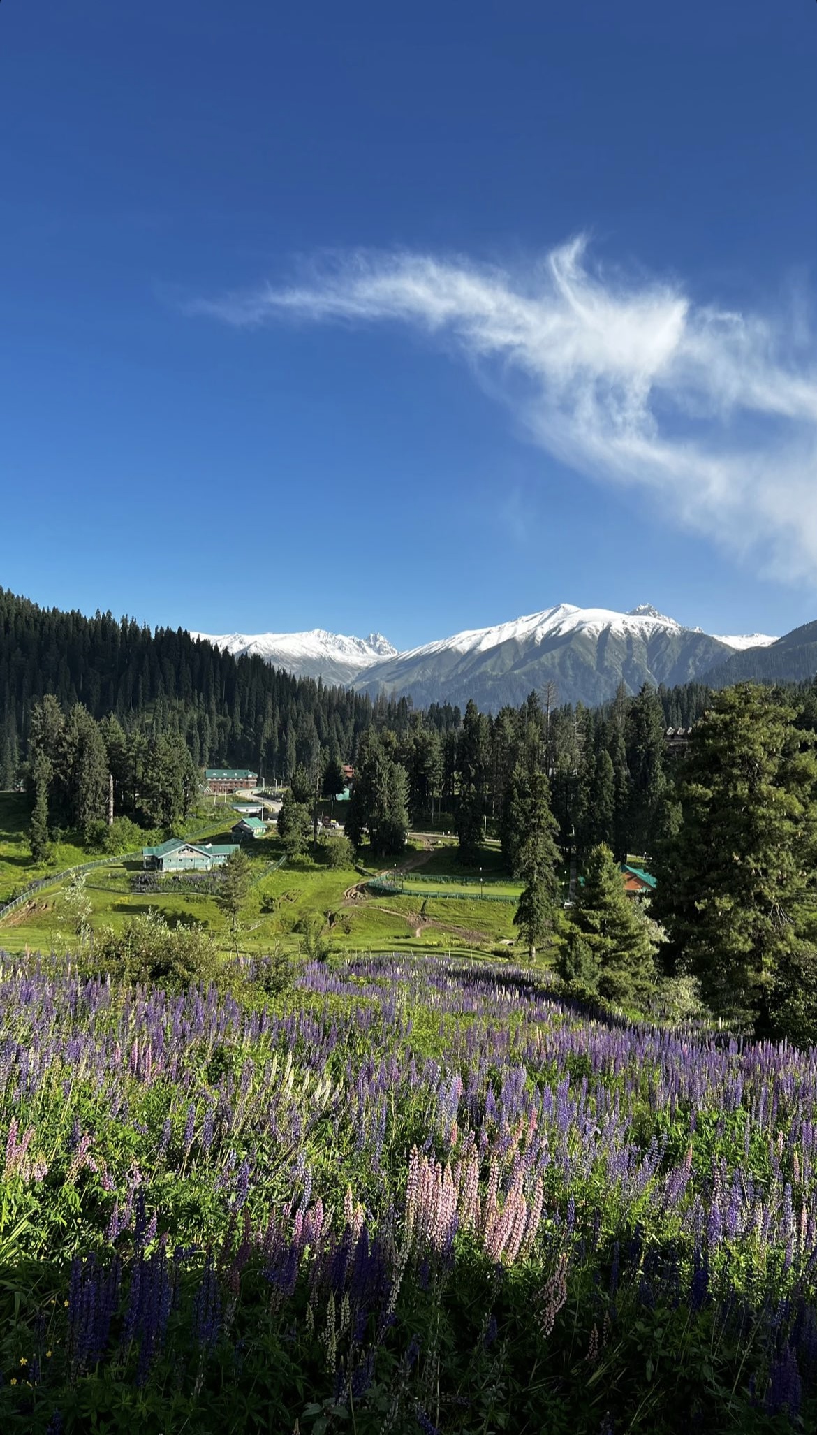 Beautiful Kashmir(Budget) 3Days 2Nights