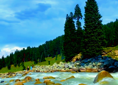 Dazzling Kashmir (Luxury) 8Days 7Nights