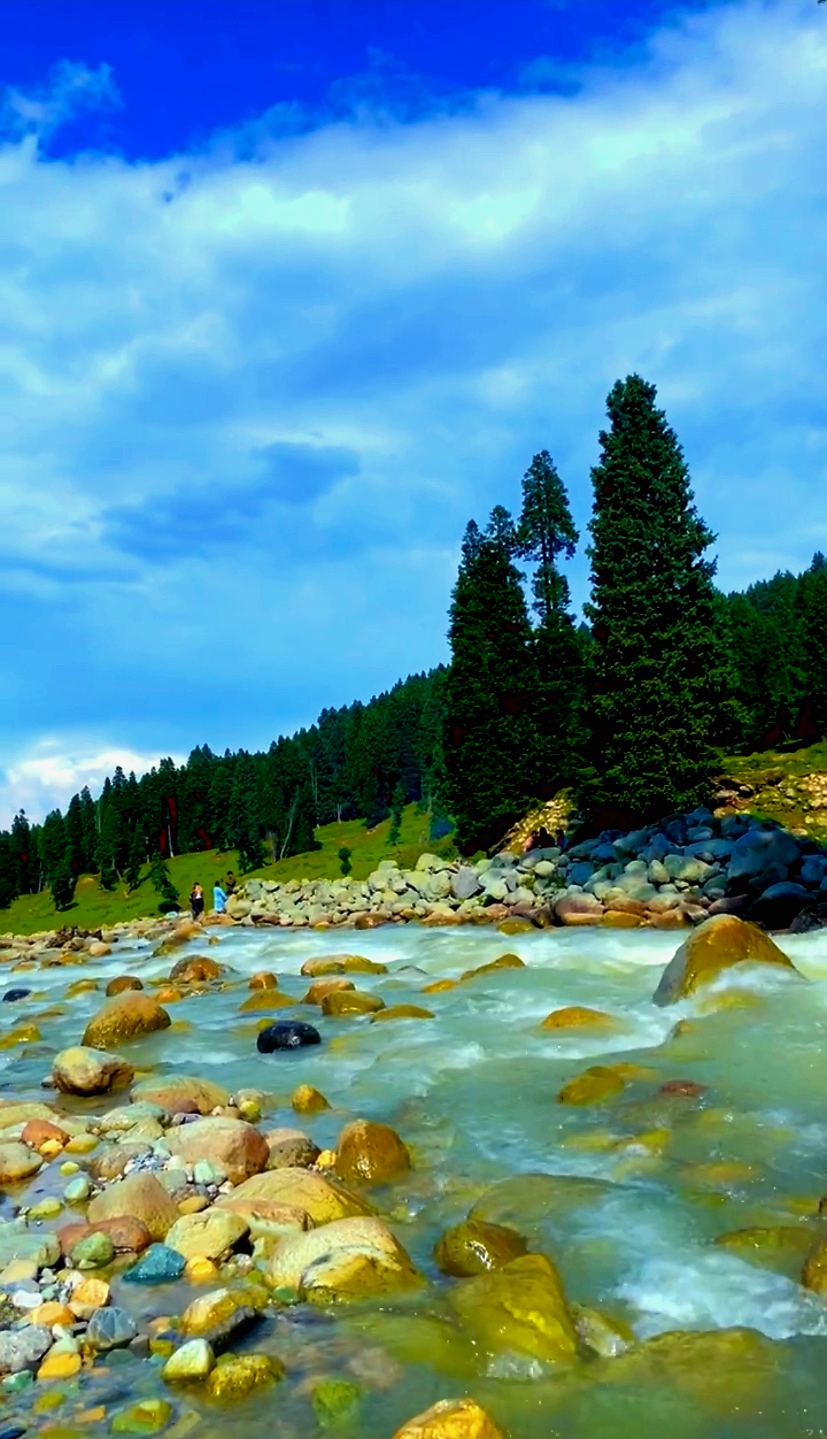 Dazzling Kashmir (Luxury) 8Days 7Nights