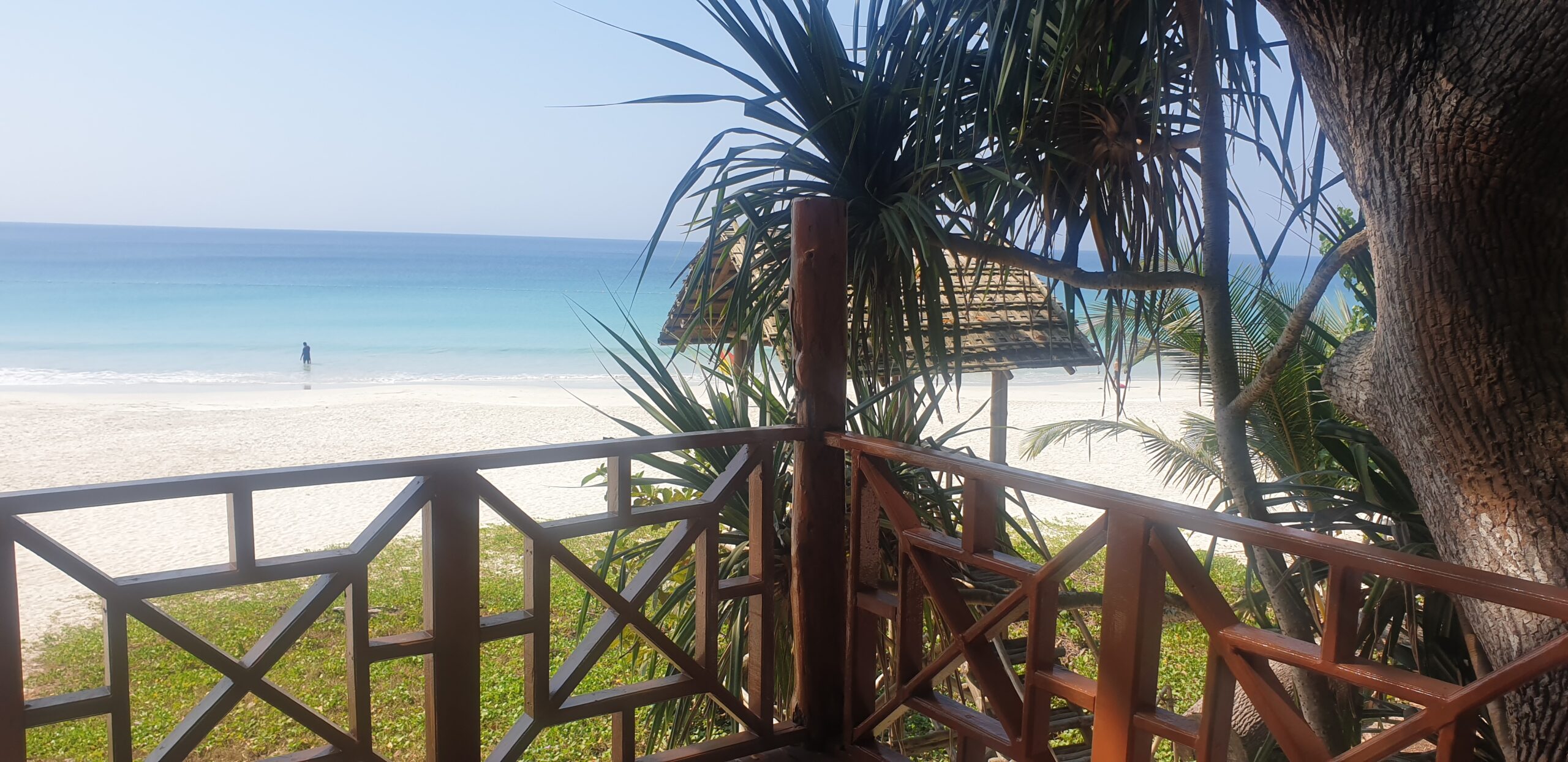 Members are Saving up to 50%