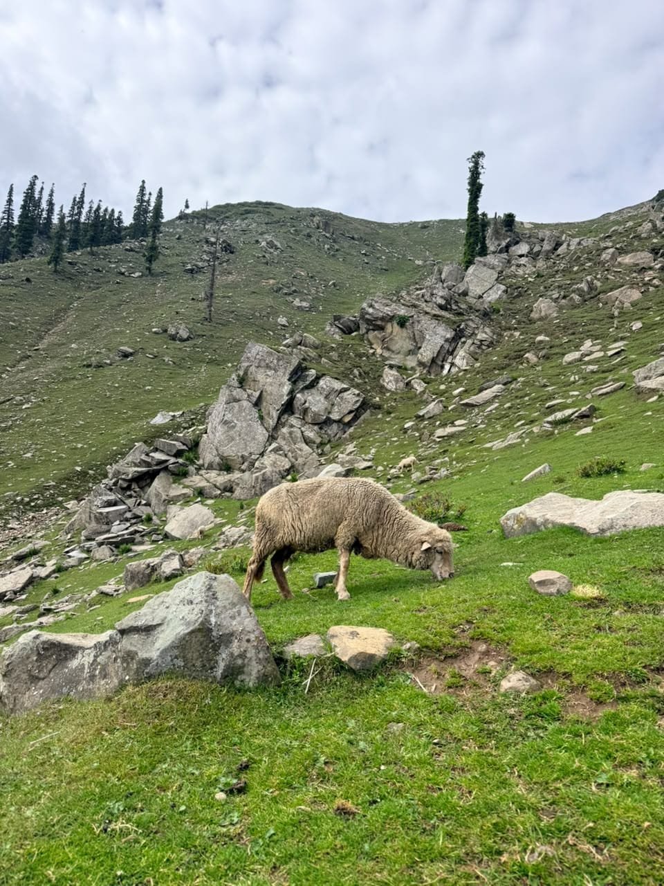 Kashmir mountain holiday