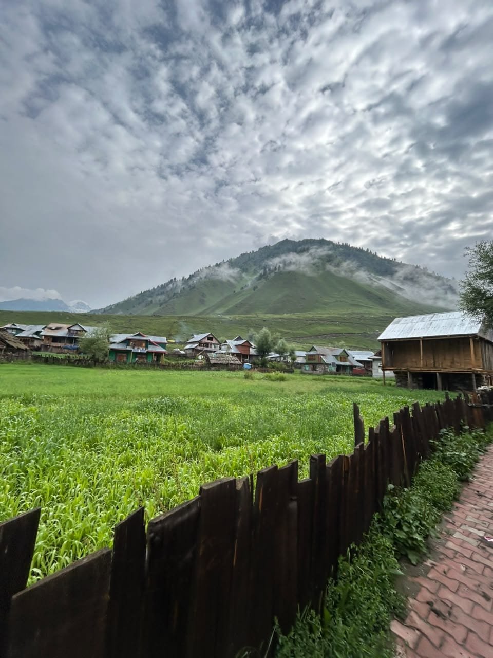 Beautiful Kashmir travel scenery