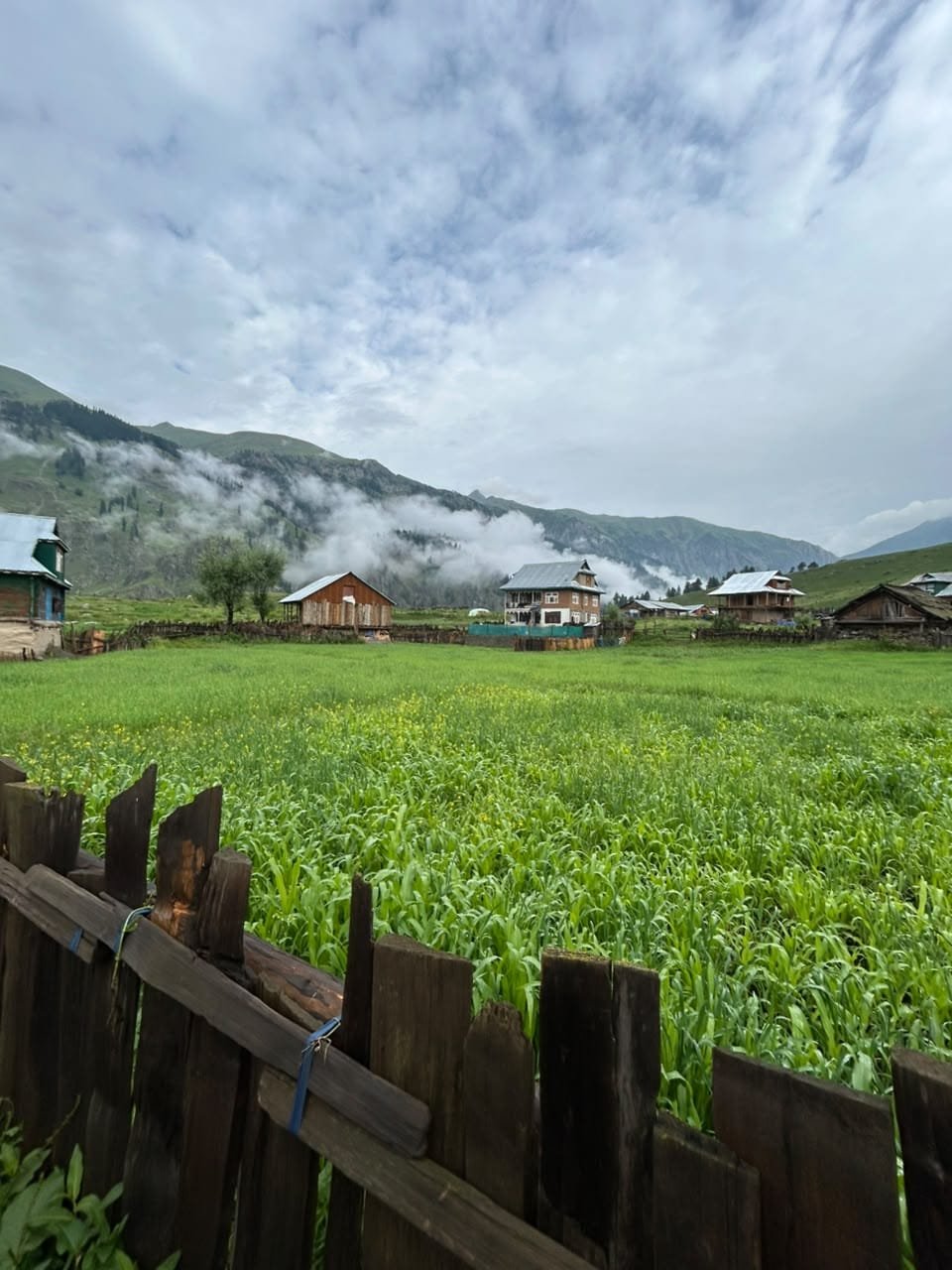 Premium Kashmir tour package